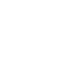 Security Icon