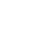 Security Icon